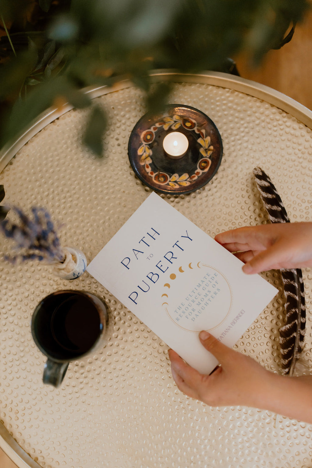 Path to Puberty Book